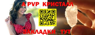 шишки Заводоуковск