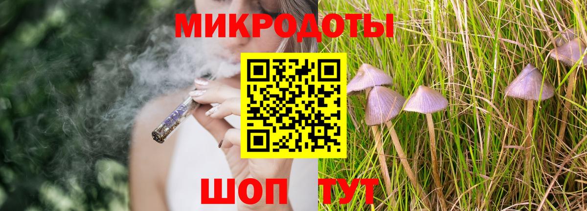 Псилоцибиновые грибы Psilocybine cubensis Карабулак